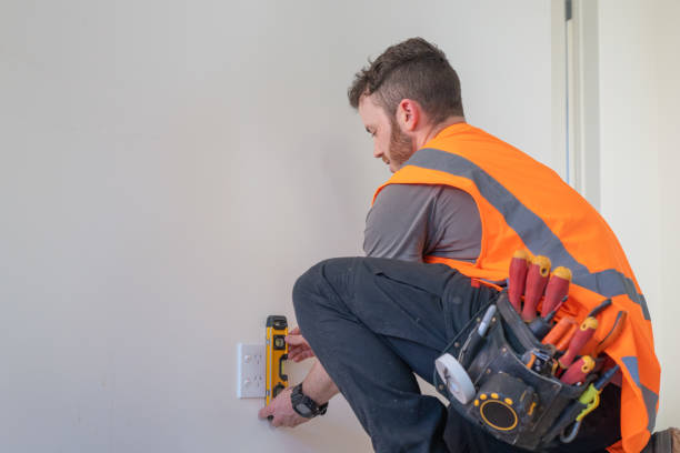 Best Electric Panel Repair  in Loyal, WI